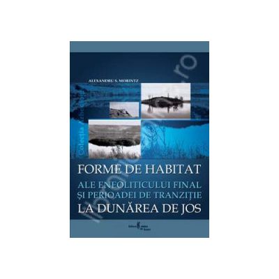 Forme de habitat ale eneoliticului final si perioadei de tranzitie la Dunarea de jos