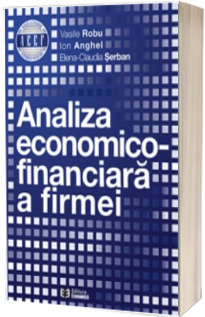 Analiza economico-financiara a firmei