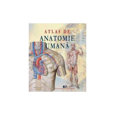 Atlas de anatomie umana