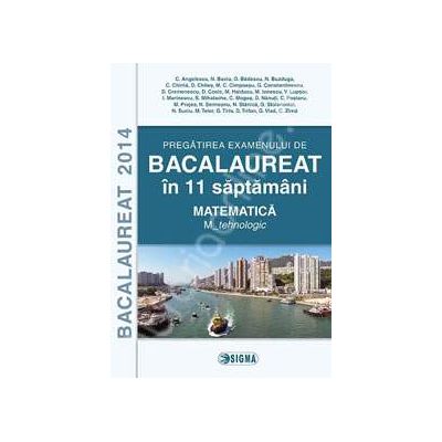 Bacalaureat 2014 in 11 saptamani (Matematica - M_tehnologic)