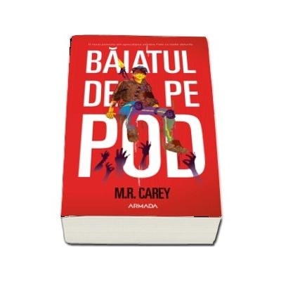 Baiatul de pe pod