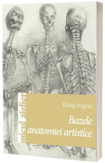 Bazele anatomiei artistice