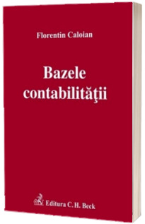 Bazele contabilitatii