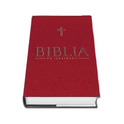 Biblia cu ilustratii - Cartea Profetului Iezechiel, Cartea Profetului Daniel, Profetii mici (Volumul V)