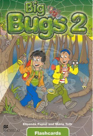 Big Bugs 2 Flashcards International