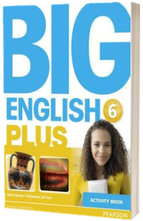 Big English Plus 6 Activity Book