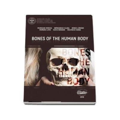 Bones of the human body