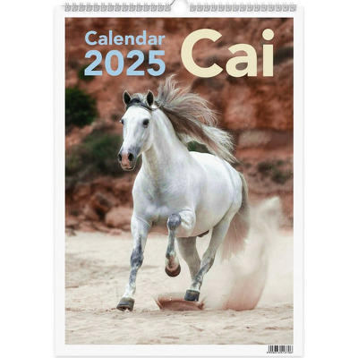 Calendar 2025 Cai