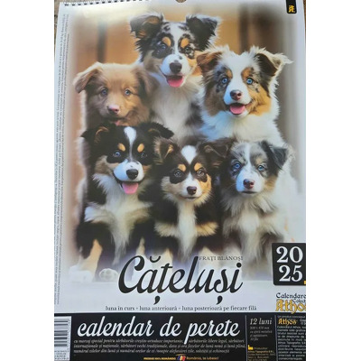 Calendar de perete X3, 2025. Catelusi - frati blanosi