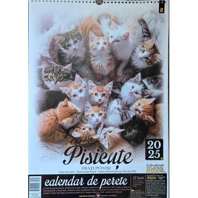 Calendar de perete X3, 2025. Pisicute - frati pufosi