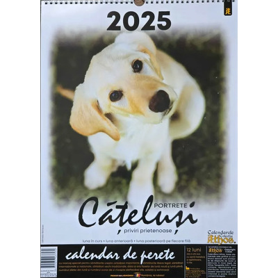 Calendar de perete X3, 2025. Portrete catelusi - priviri prietenoase