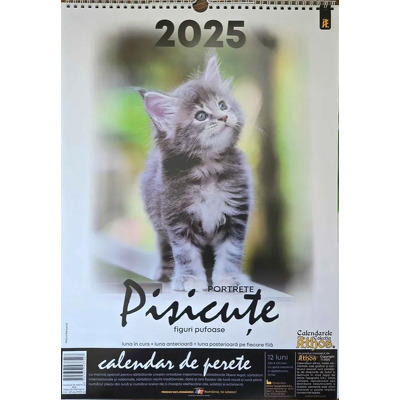 Calendar de perete X3, 2025. Portrete pisicute, figuri pufoase