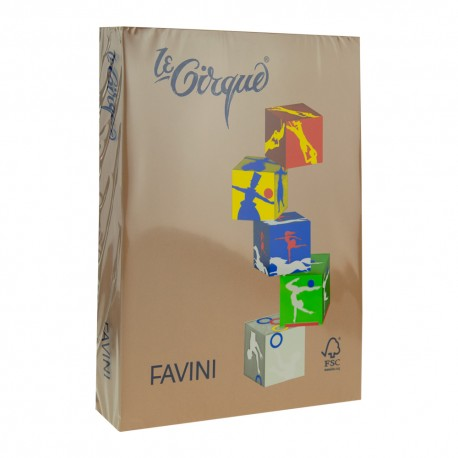 Carton color 160G/MP A4 maro piele Favini 300