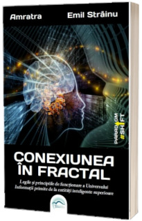 Conexiunea in fractal. Legile si principiile de functionare a Universului