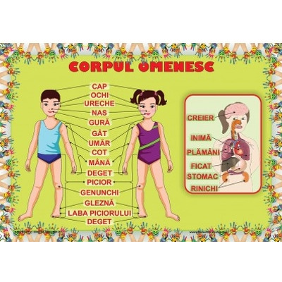 Corpul Omenesc