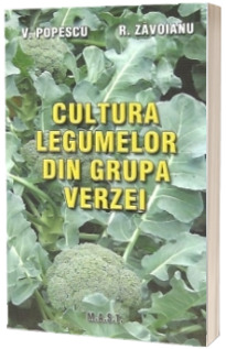 Cultura legumelor din grupa verzei