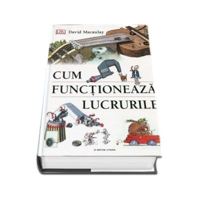 Cum functioneaza lucrurile