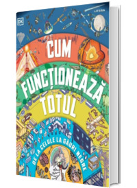 Cum functioneaza totul