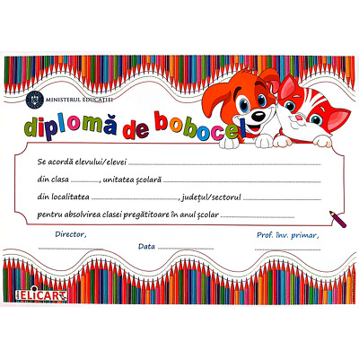 Diploma BOBOCEL