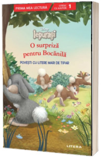 Disney Iepurasi. O surpriza pentru Bocanila. Povesti cu litere mari de tipar (Nivelul 1)