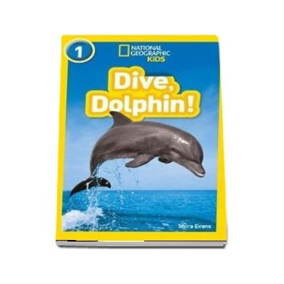 Dive, Dolphin!