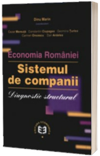 Economia Romaniei. Sistemul de companii. Diagnostic structural