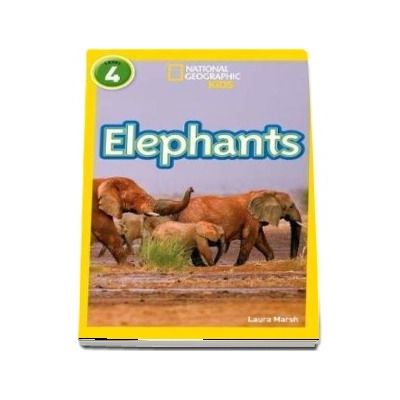 Elephants