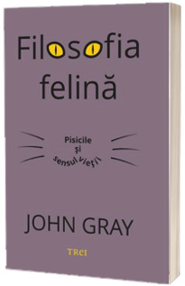 Filosofia felina