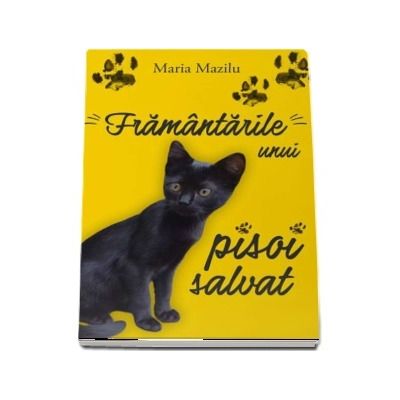 Framantarile unui pisoi salvat - Maria Mazilu