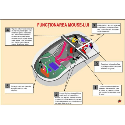 Functionarea mouse-lui