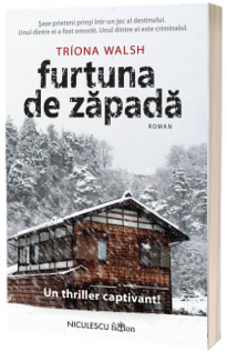 Furtuna de zapada