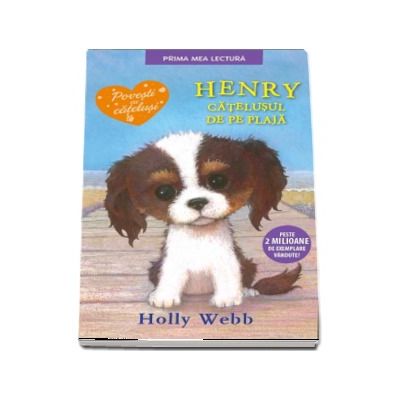 Henry, catelusul de pe plaja - Holly Webb