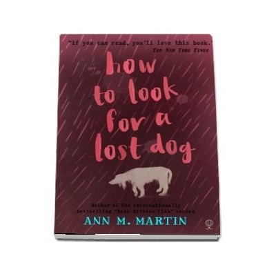 How to Look for a Lost Dog