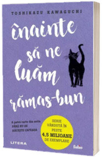 Inainte sa ne luam ramas-bun