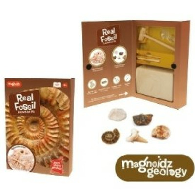 Kit paleontologie - Descopera fosile