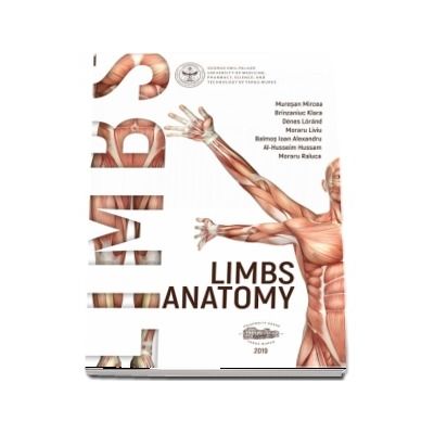 Limbs anatomy