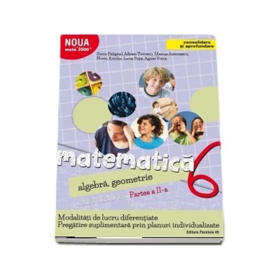 Matematica 2000. Algebra, geometrie. Caiet de lucru, pentru clasa a VI-a. Partea a II-a (Consolidare si aprofundare)