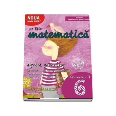 Matematica 2000. Algebra, geometrie. Caiet de lucru, pentru clasa a VI-a. Semestrul al II-lea (Initiere, ameliorare si dezvoltare)