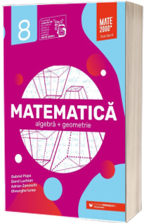 Matematica. Algebra, geometrie. Clasa a VIII-a. Standard