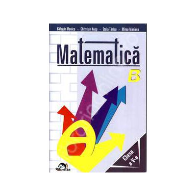 Matematica clasa a V-a (Culegere de probleme)