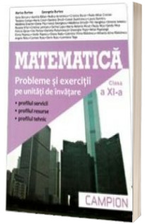 Matematica, M2. Culegere de probleme pentru clasa a XI-a