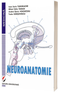 Neuroanatomie