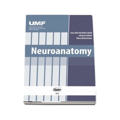 Neuroanatomy