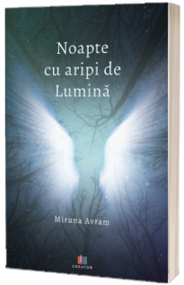 Noapte cu aripi de lumina