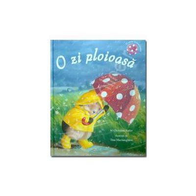 O zi ploioasa