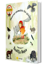 Observa animalele din padure impreuna cu Scufita Rosie