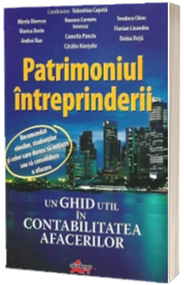 Patrimoniul intreprinderii. Un ghid util in contabilitatea afacerilor