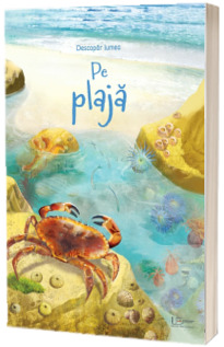 Pe plaja (Usborne)