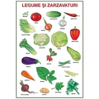 Plansa. Legume si zarzavaturi