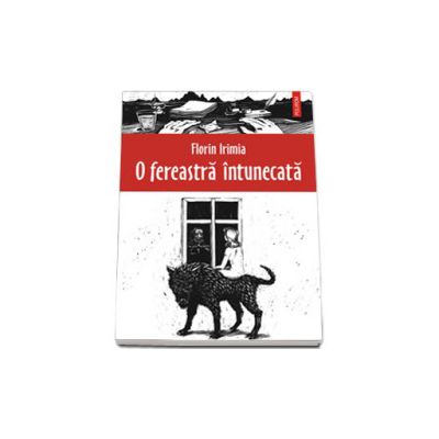 O fereastra intunecata